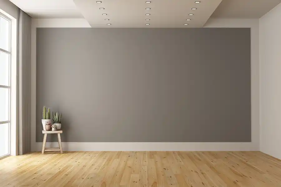 Move-In Cleaning